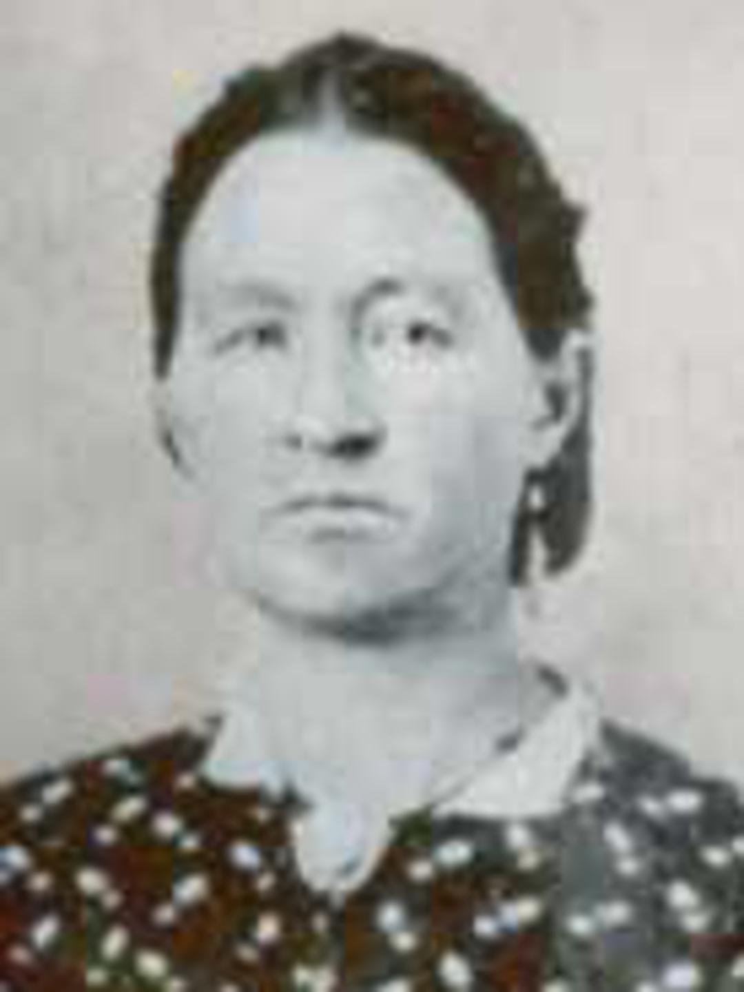 Almira Higgins (1830 - 1873) Profile